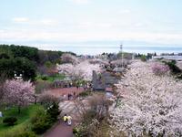 北海道:オニウシ公園