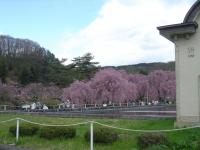 東北:米内浄水場