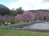 東北:米内浄水場