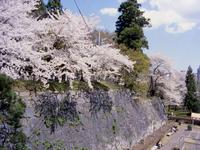 東北：盛岡城跡公園