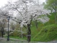 東北：鍋倉公園