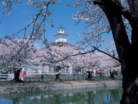 東北：鶴岡公園