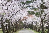 東北：南湖公園