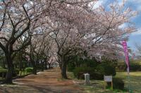 関東：阿漕ケ浦公園