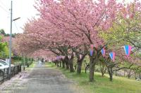 関東：静峰ふるさと公園