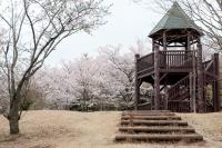 関東：十国峠公園