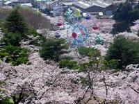 関東:かみね公園・平和通り