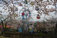関東:かみね公園・平和通り