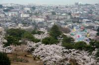 関東:かみね公園・平和通り