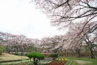 関東：黒磯公園