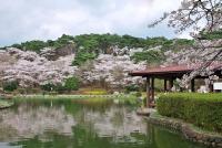 関東：烏ヶ森公園