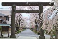 関東：乃木神社