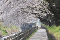 関東:行屋川水辺公園