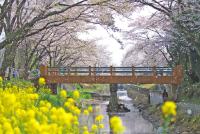 関東:行屋川水辺公園