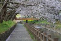 関東:行屋川水辺公園
