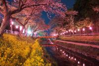 関東:行屋川水辺公園