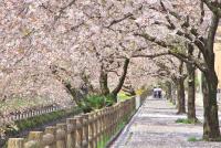 関東:行屋川水辺公園