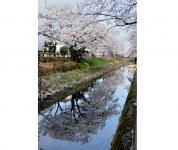 関東:行屋川水辺公園
