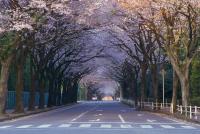 関東：かしの森公園