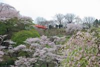 関東：お丸山公園