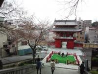 関東:慈光寺の桜