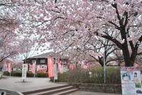 関東：天平の丘公園