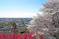 関東：山前公園