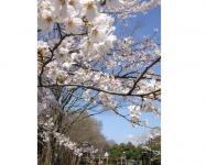 関東:市制記念公園