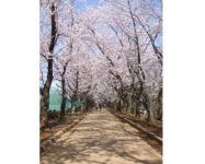 関東:市制記念公園