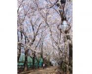 関東:市制記念公園