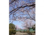 関東:市制記念公園