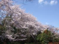 関東:市制記念公園