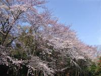 関東:市制記念公園