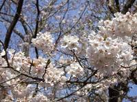 関東:市制記念公園