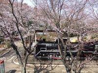 関東:市制記念公園