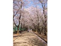 関東:市制記念公園