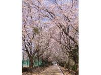 関東:市制記念公園