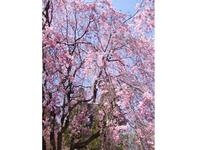 関東:市制記念公園