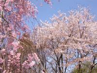 関東:市制記念公園
