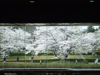 関東:佐倉城址公園