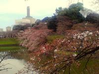 関東:千鳥ヶ淵