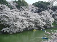 関東:千鳥ヶ淵