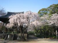 関東：増上寺