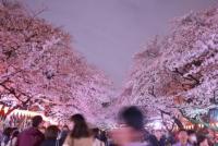 関東:上野恩賜公園