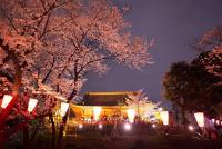関東:上野恩賜公園