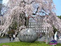 関東:上野恩賜公園