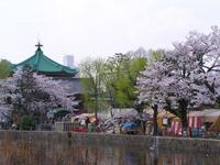 関東:上野恩賜公園