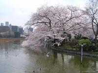 関東:上野恩賜公園