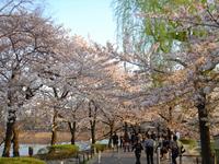 関東:上野恩賜公園