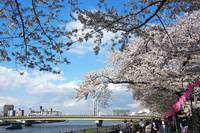 関東:隅田公園